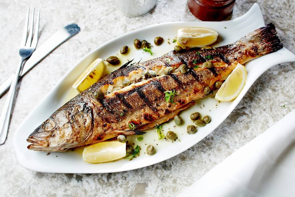 Antik Greek Kitchen | 335 Fairfield Rd, Fairfield, NJ 07004, USA | Phone: (862) 210-8527