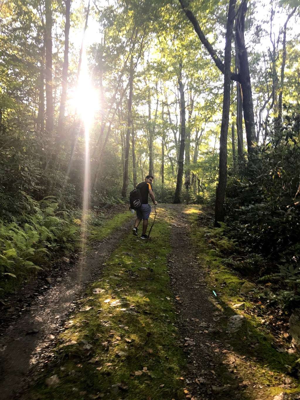 Rattlesnake Trail | Blairstown, NJ 07825, USA