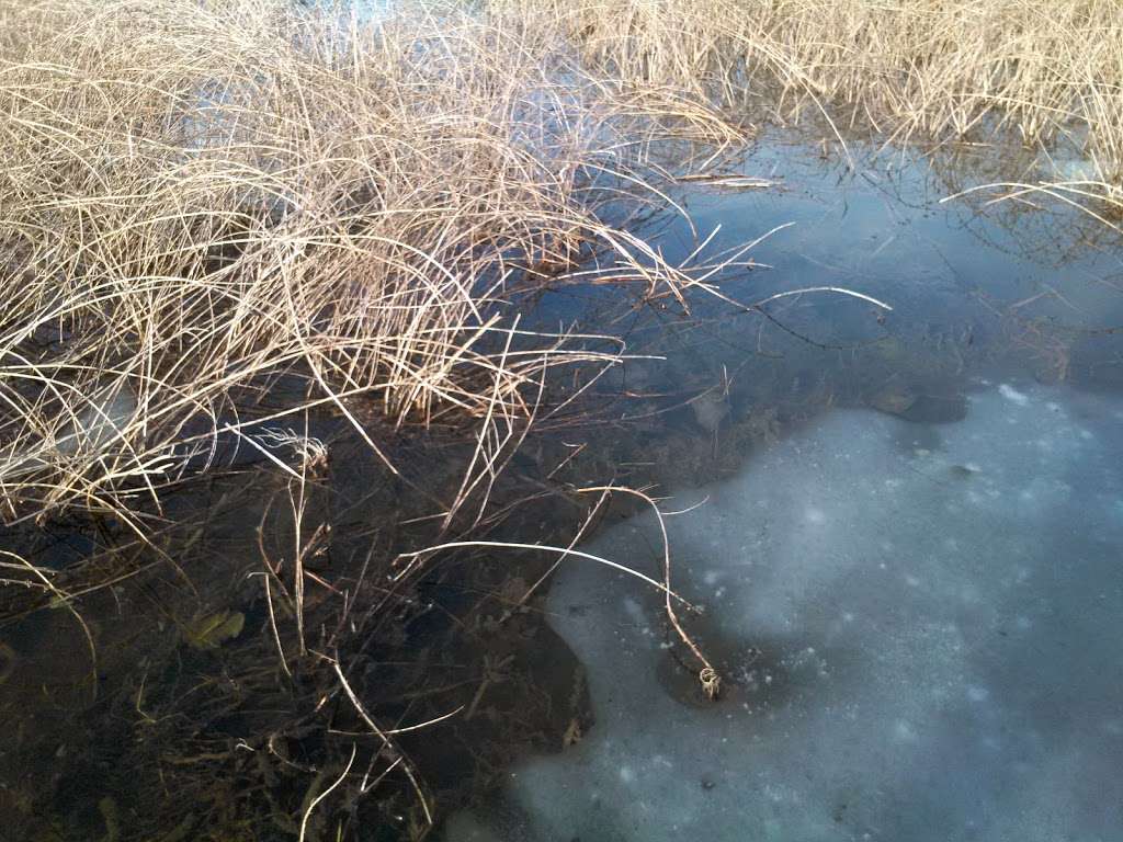 Lima Bog State Natural Area | Whitewater, WI 53190, USA | Phone: (608) 266-2621