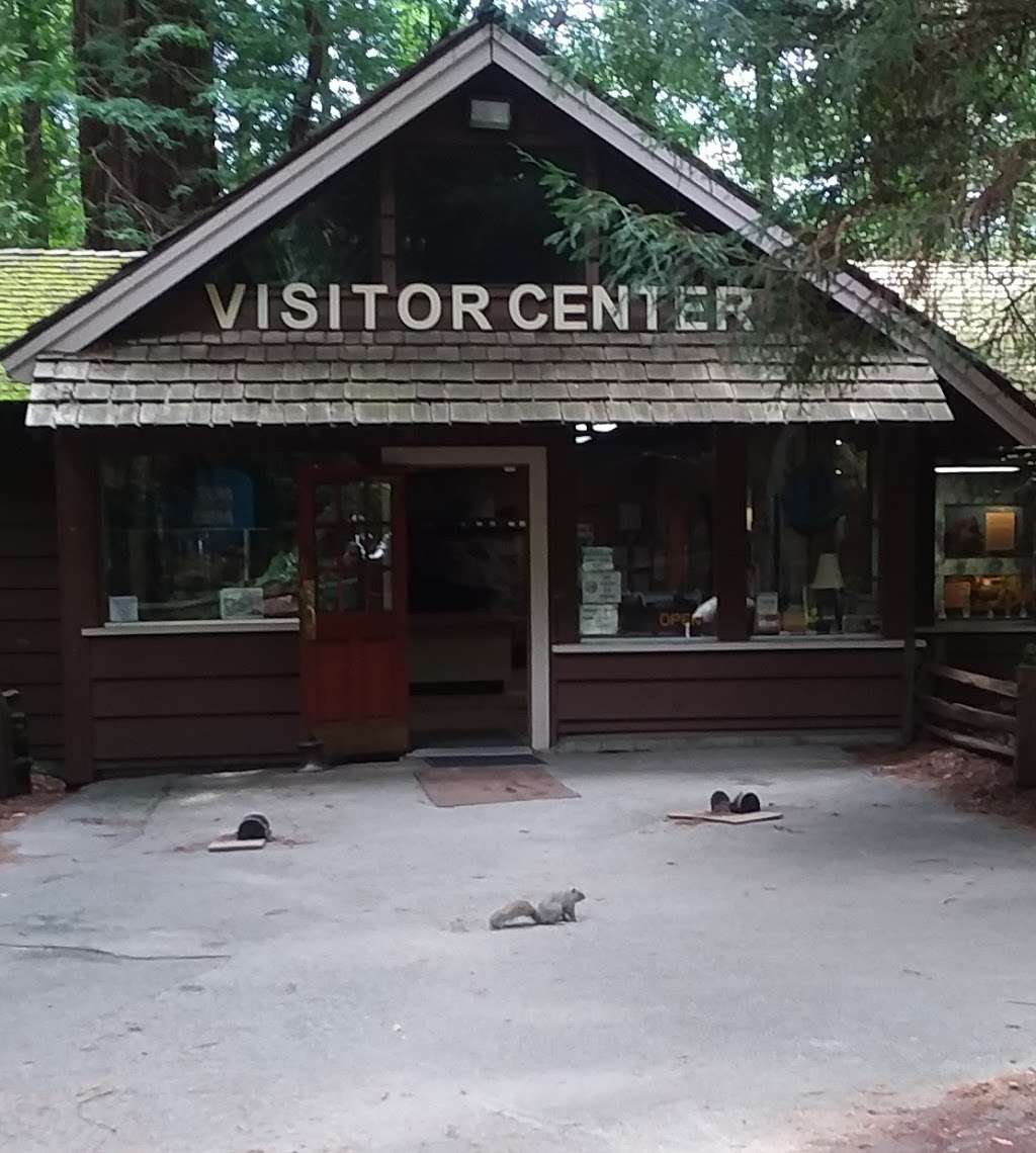 Henry Cowell Redwoods State Park Campground | 2591 Graham Hill Rd, Scotts Valley, CA 95060 | Phone: (831) 438-2396