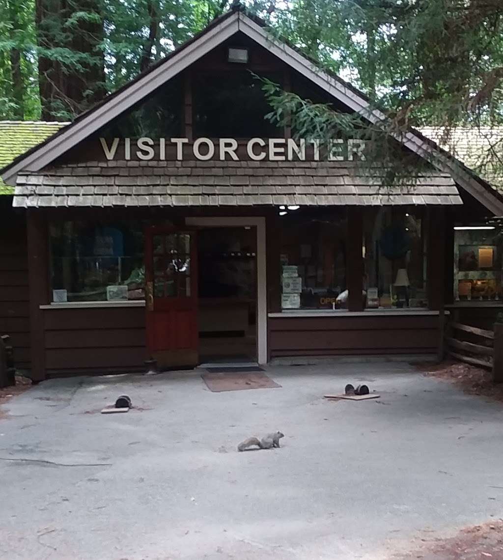 Henry Cowell Redwoods State Park Campground | 2591 Graham Hill Rd, Scotts Valley, CA 95060, USA | Phone: (831) 438-2396