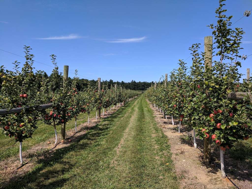 Carlson Orchards, Inc | 115 Oak Hill Rd, Harvard, MA 01451, USA | Phone: (978) 456-3916