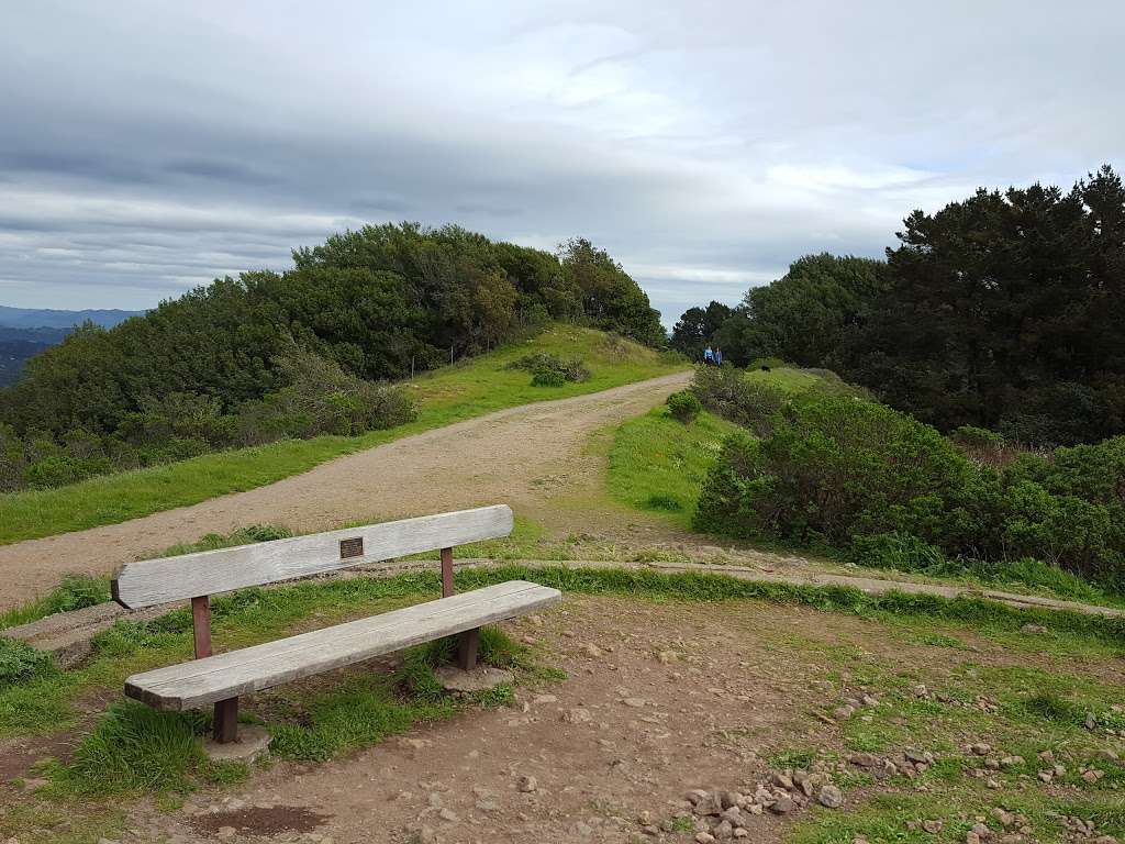 Seaview Trail | Seaview Trail, Orinda, CA 94563