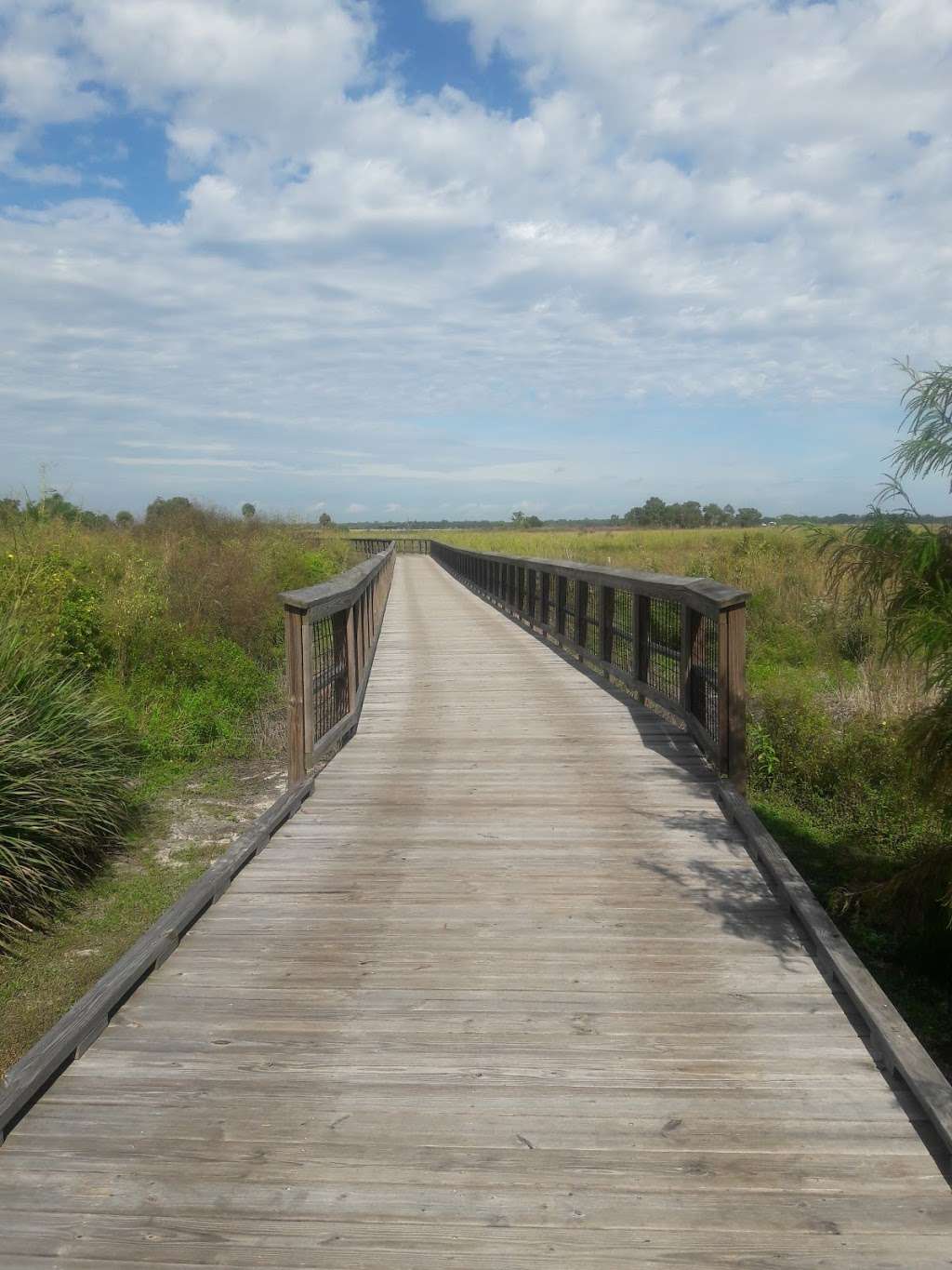 Cherokee Point Conservation Area | 2501 Cherokee Rd, St Cloud, FL 34772 | Phone: (407) 742-0200