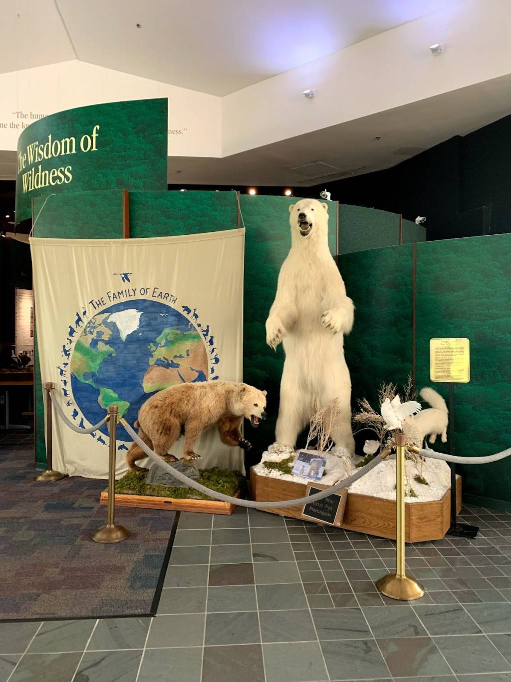 WildPedia | 44 Wyndmoor Pl, Gwynn Oak, MD 21207, USA | Phone: (443) 813-4181