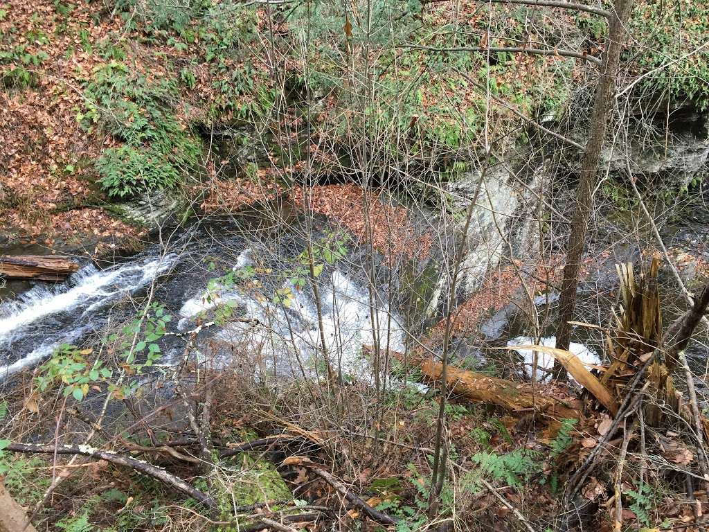 Hornbecks Trail | Hornbecks Creek, 18328, Dingmans Ferry, PA 18328, USA
