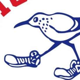 Daytona Beach Track Club | 725 Dunlawton Ave - Box 290351, Port Orange, FL 32127, USA | Phone: (386) 846-0956