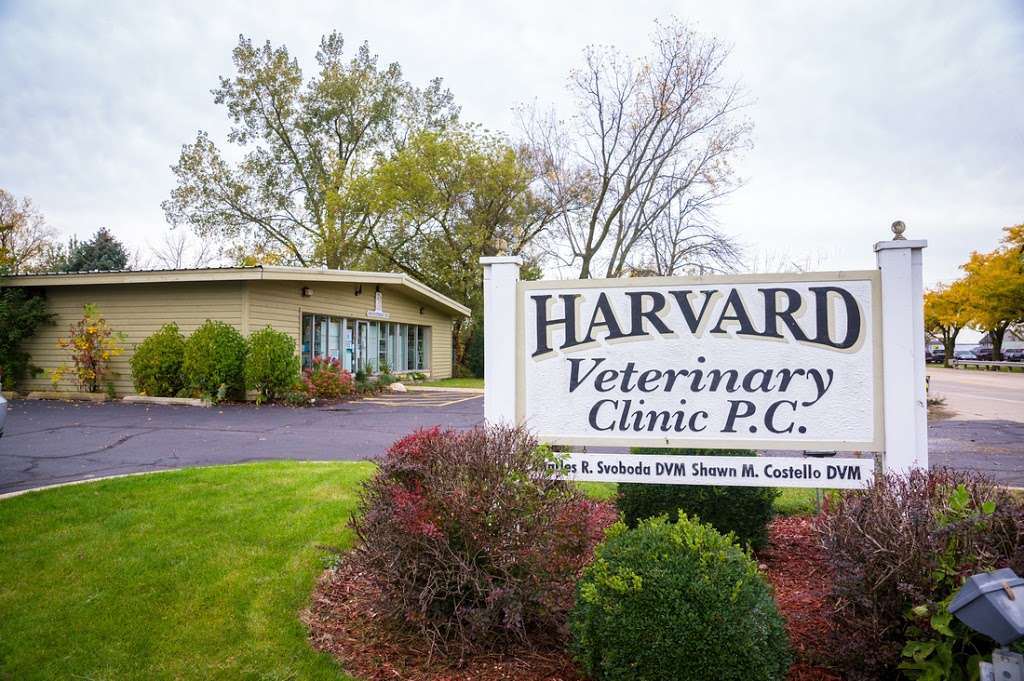 Harvard Veterinary Clinic | 712 W Brink St, Harvard, IL 60033, USA | Phone: (815) 943-5459