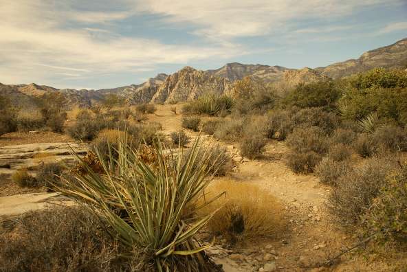 Sandstone Quarry Overlook | Red Rock Canyon Rd, Las Vegas, NV 89161, USA