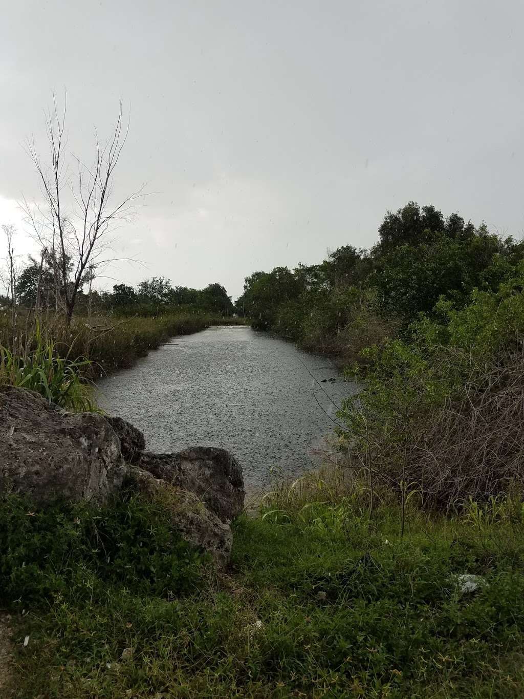 East Coast Buffer Water Preserve Area | Weston, FL 33332, USA | Phone: (866) 433-6312