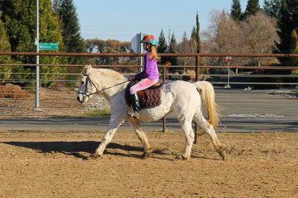 Hoofbeats Equestrian | 8790 Mecca Rd, Elk Grove, CA 95624, USA | Phone: (916) 796-3044