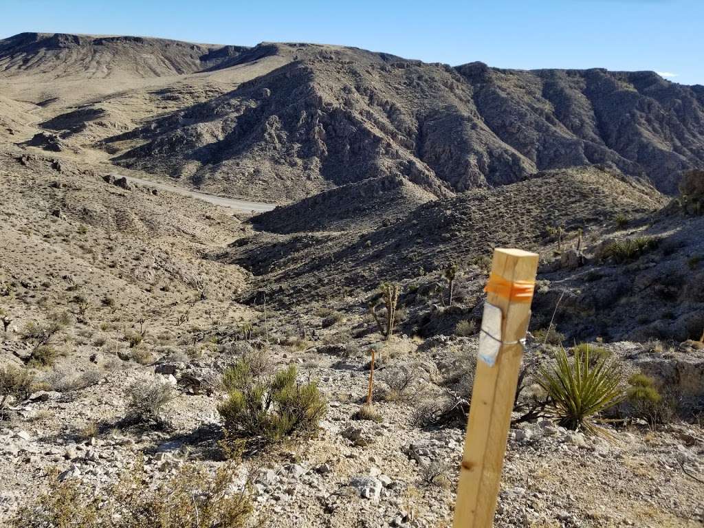 Columbia Pass Area | Nevada 89019