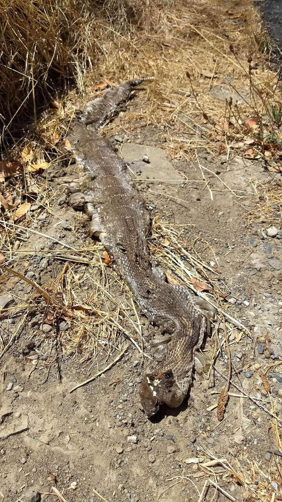 Whites Hill Open Space Preserve | Sir Francis Drake Blvd, Fairfax, CA 94930