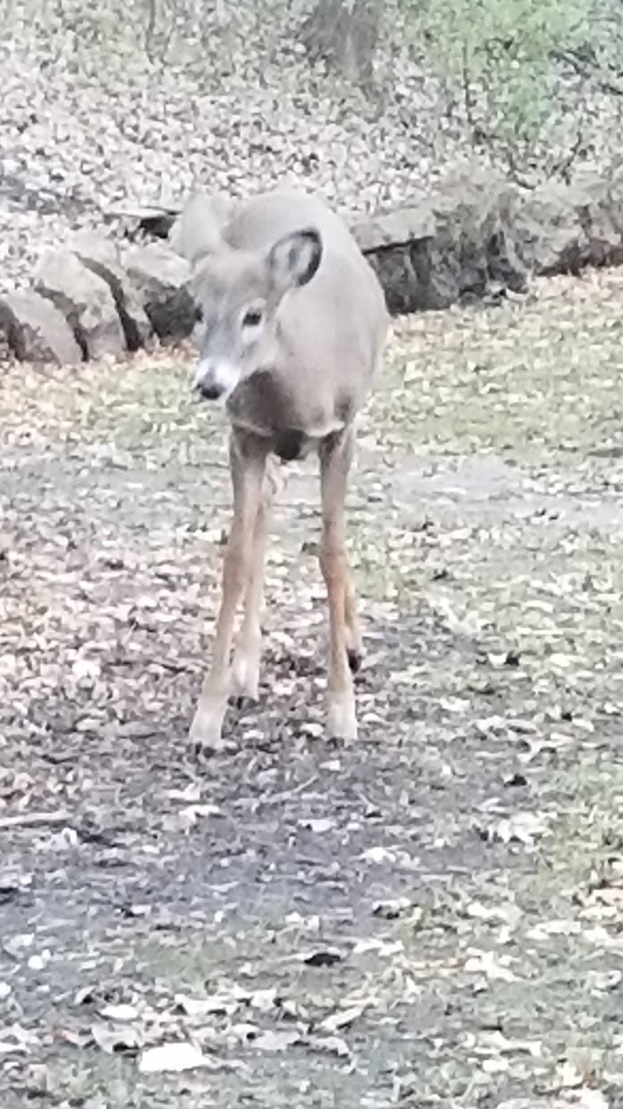 Shingle Creek Trail Park | Brooklyn Park, MN 55443, USA | Phone: (763) 569-3400