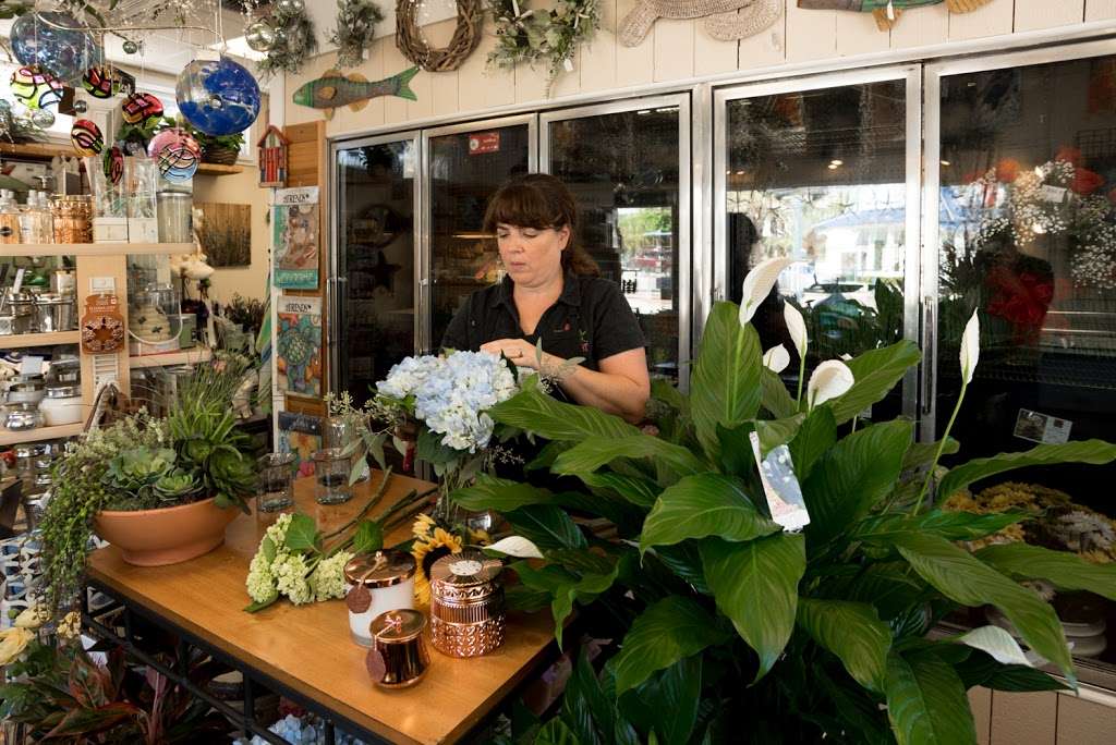 New Smyrna Beach Florist | 121 Flagler Ave, New Smyrna Beach, FL 32169, USA | Phone: (800) 835-9333