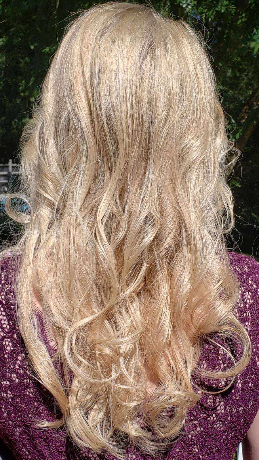 Shear Country Styling | 19200 Middletown Rd, Parkton, MD 21120, USA | Phone: (410) 357-4708
