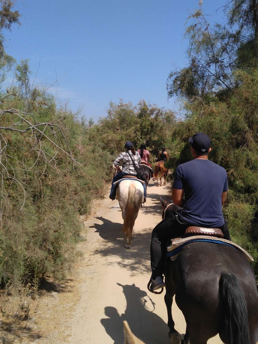 Tijuana River Valley Regional Park | 2721 Monument Rd, San Diego, CA 92154 | Phone: (619) 428-2946