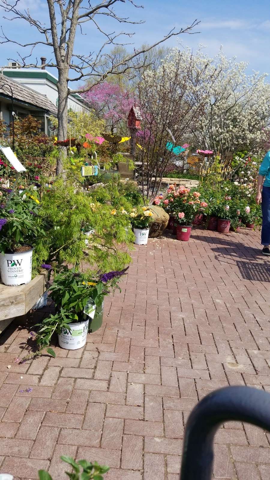 Wasco Nursery & Garden Center | 41 W781 IL-64, St. Charles, IL 60175, USA | Phone: (630) 584-4424