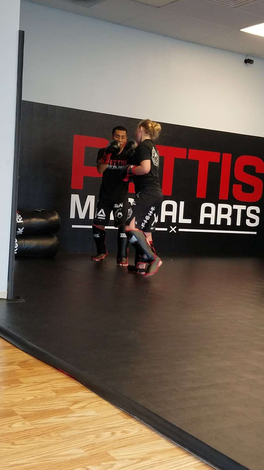 Pettis Martial Arts | 2300 E Layton Ave, St Francis, WI 53235, USA | Phone: (414) 763-6562