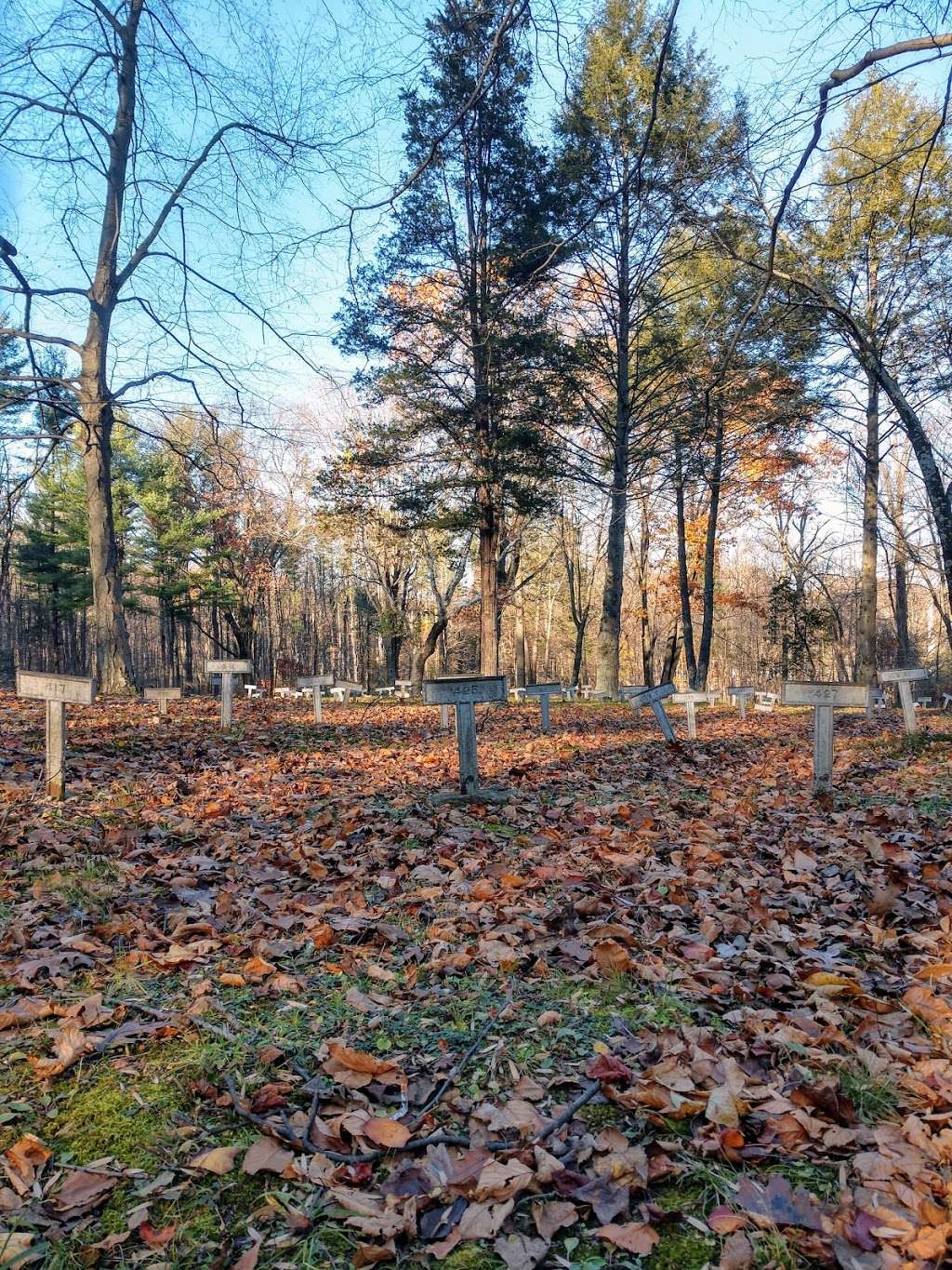 The Old Letchworth Village Cemetery | Stony Point, NY 10980, USA