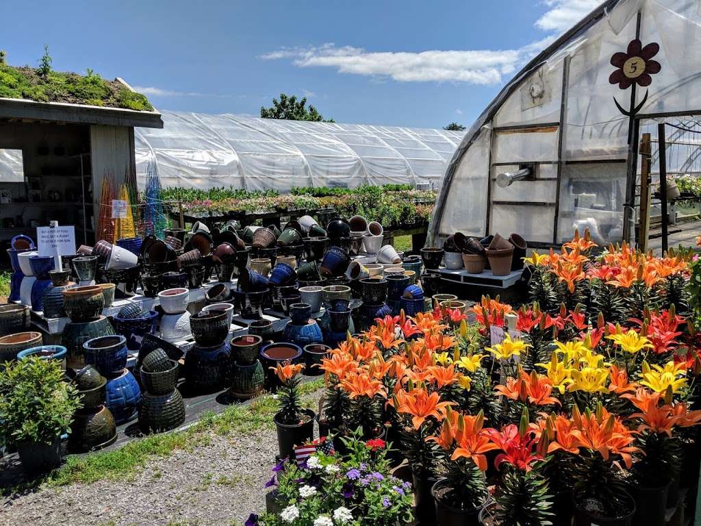 Windmill Heights Garden Center | 1901 Broad St, Culpeper, VA 22701, USA | Phone: (540) 825-2059