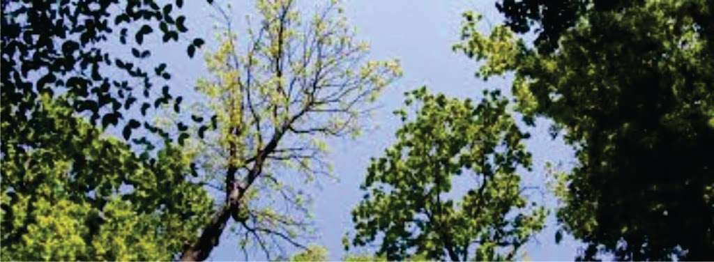Health Habitat | 27190 CA-189, Blue Jay, CA 92317, USA | Phone: (909) 337-2344