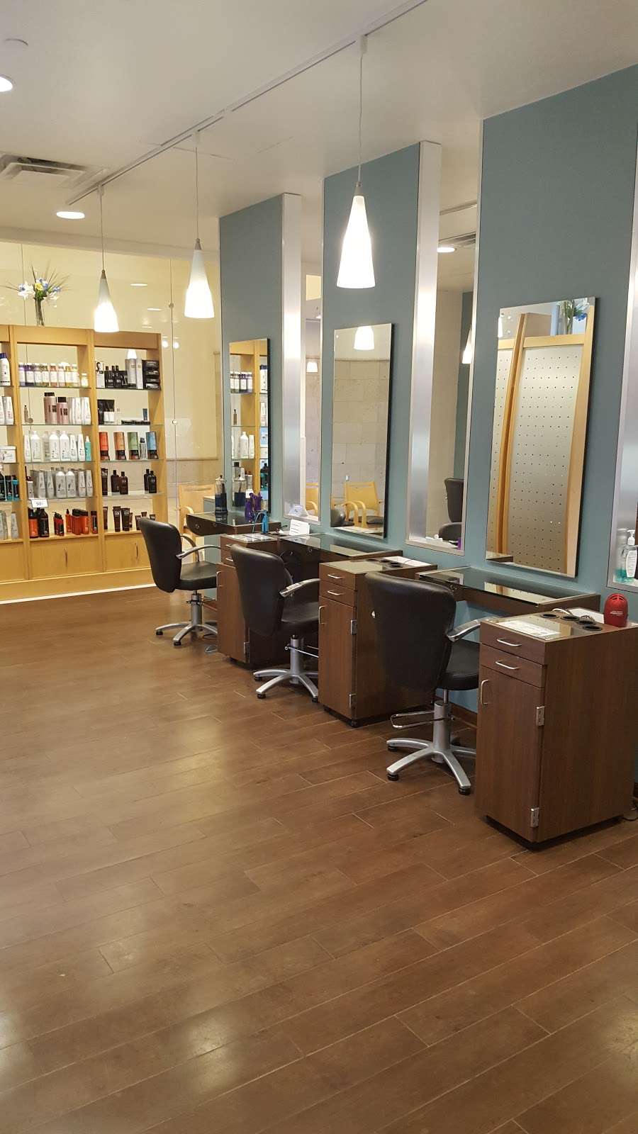 Regis Signature Salon | 4200 Conroy Rd #200, Orlando, FL 32839, USA | Phone: (407) 351-2922