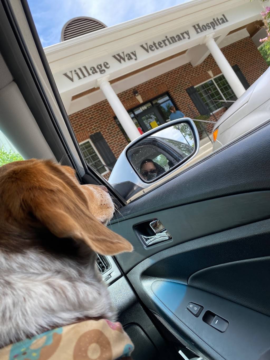 Village Way Veterinary | 106 Carnoustie Way, Advance, NC 27006, USA | Phone: (336) 998-0262