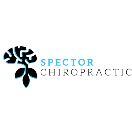 Spector Chiropractic, PLLC | 9720 Coit Rd #240, Plano, TX 75025, USA | Phone: (214) 872-2442