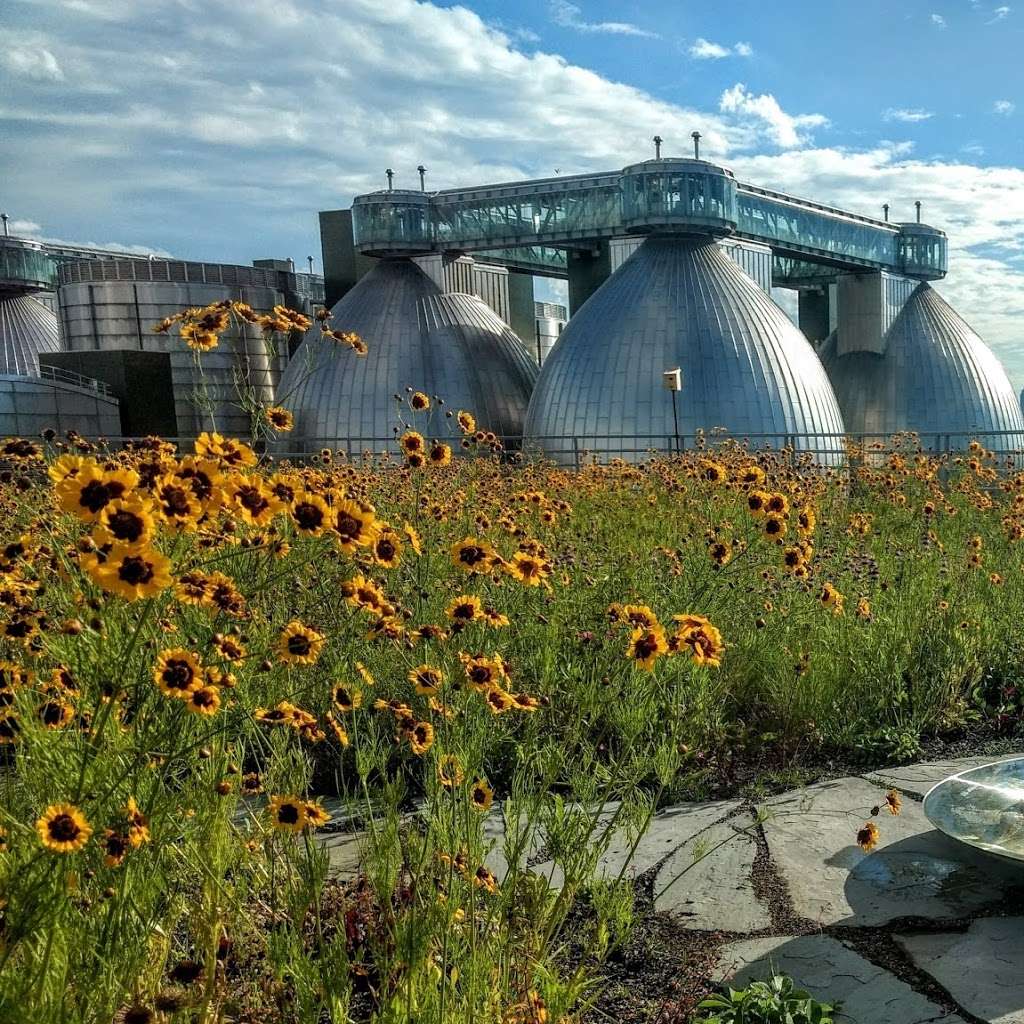 Kingsland Wildflowers Green Roof & Community Engagement Center | 520 Kingsland Ave, Brooklyn, NY 11222, USA