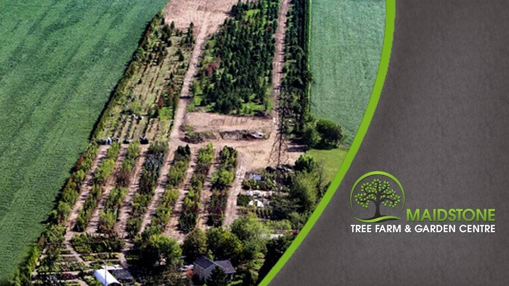 Maidstone Tree Farm & Garden Centre | 7010 ON-3, Maidstone, ON N0R 1K0, Canada | Phone: (519) 737-2999