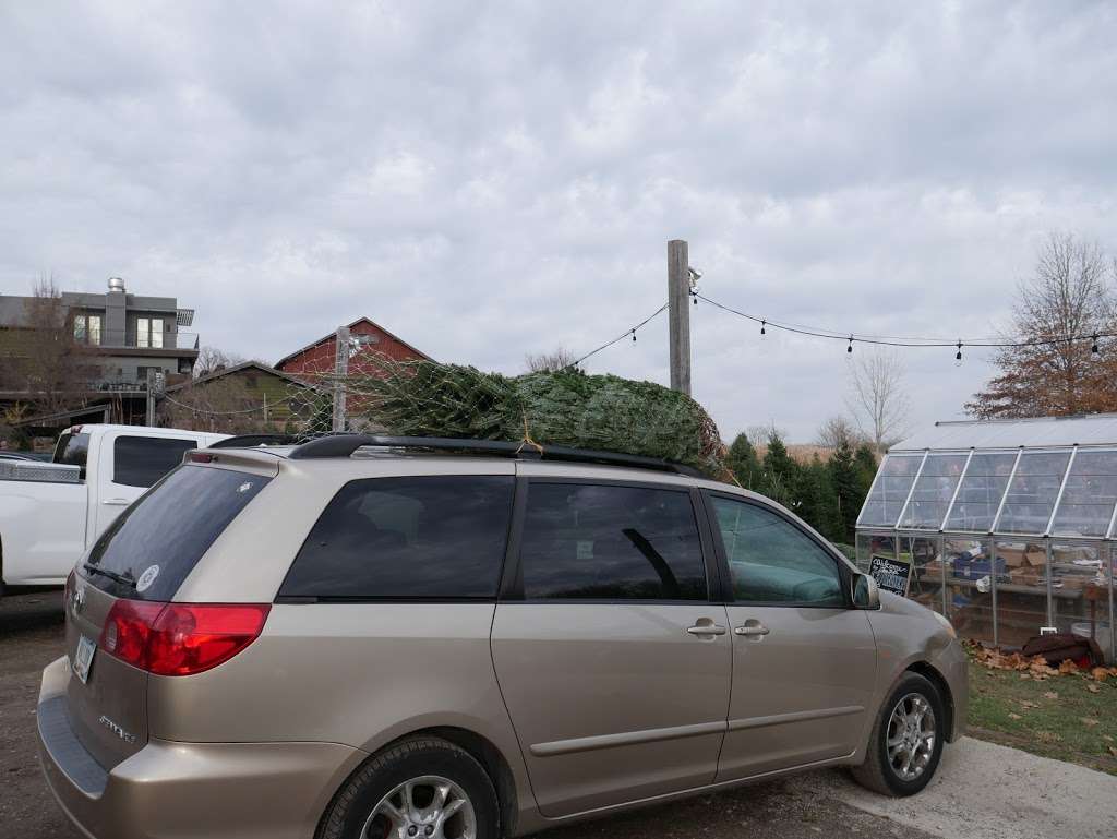 Watts Christmas Tree Farm and Sparkle Shop | 9101 Moore Rd, Zionsville, IN 46077 | Phone: (317) 873-2365