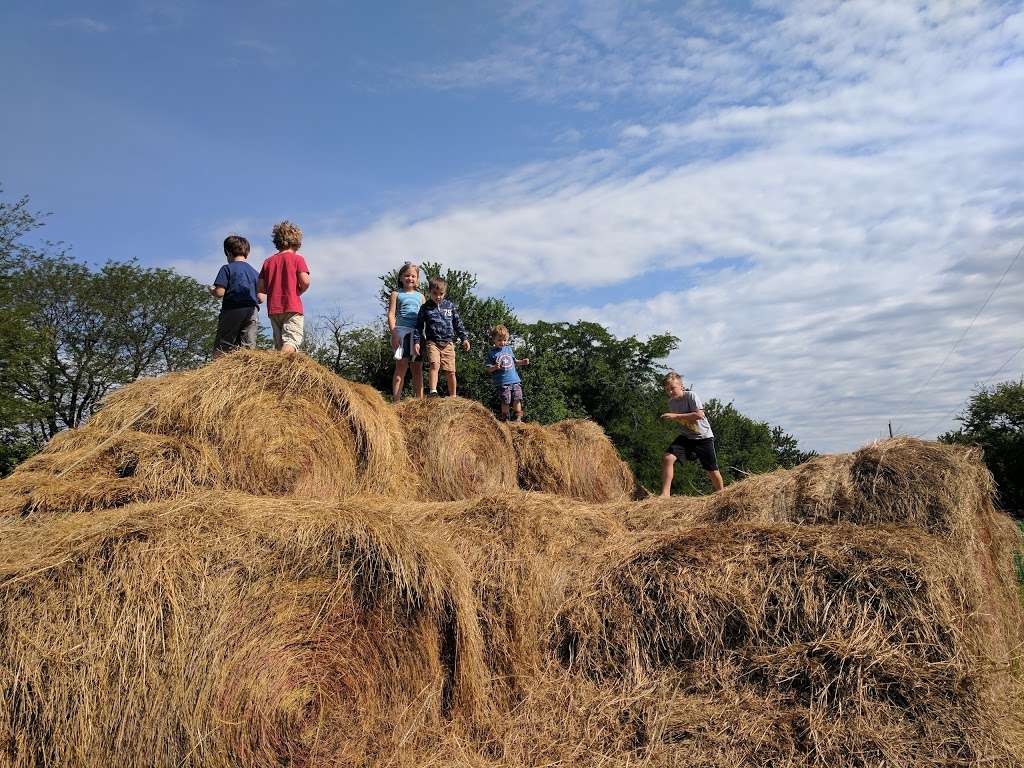 Gieringers Orchard/Gieringers Family Orchard & Berry Farm | 39345 W 183rd St, Edgerton, KS 66021, USA | Phone: (913) 893-9626