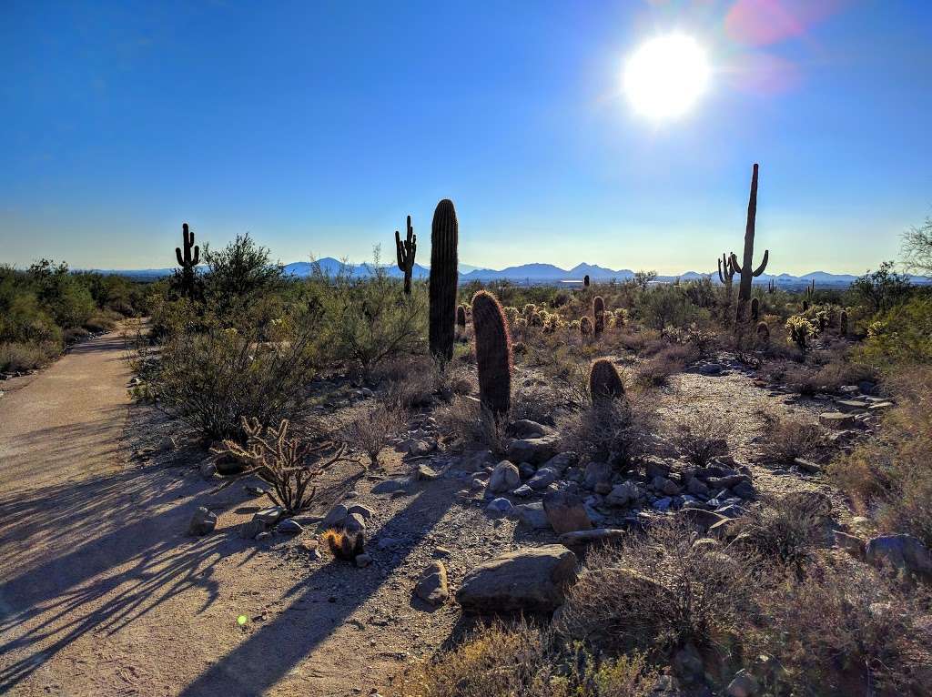 Gateway Trailhead - McDowell Sonoran Preserve | 18333 N Thompson Peak Pkwy, Scottsdale, AZ 85255, USA | Phone: (480) 998-7971