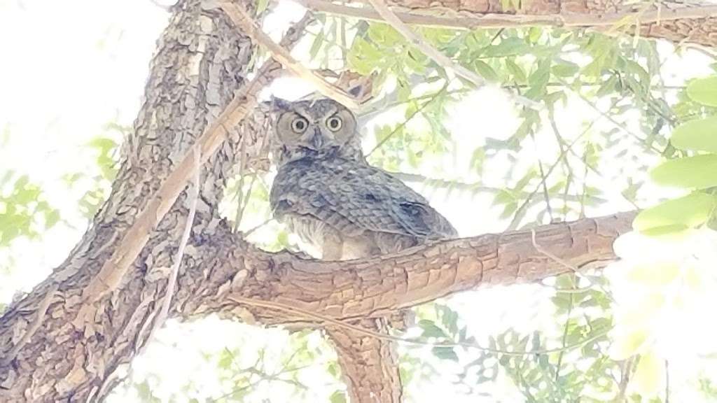 Deer Valley Park | 3665 E Deer Valley Dr, Phoenix, AZ 85050, USA Deer Valley Park | 3665 E Deer Valley Dr, Phoenix, AZ 85050, USA