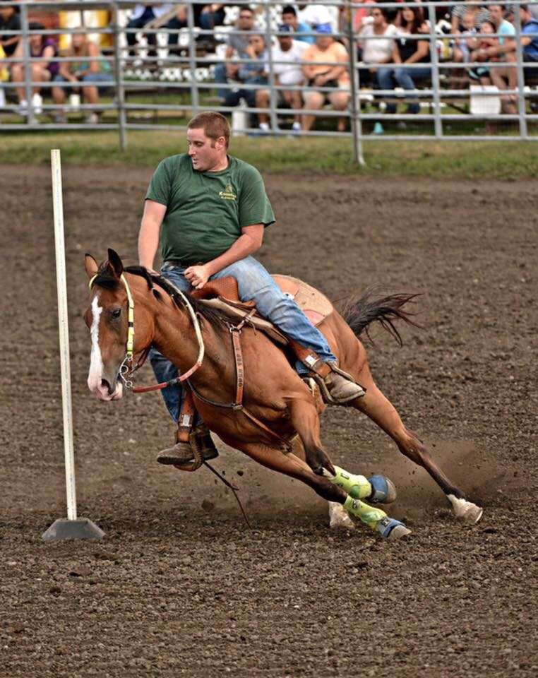 Justin Newland performance horses | 2727 S us Hwy 421, Westville, IN 46391, USA | Phone: (574) 933-2590