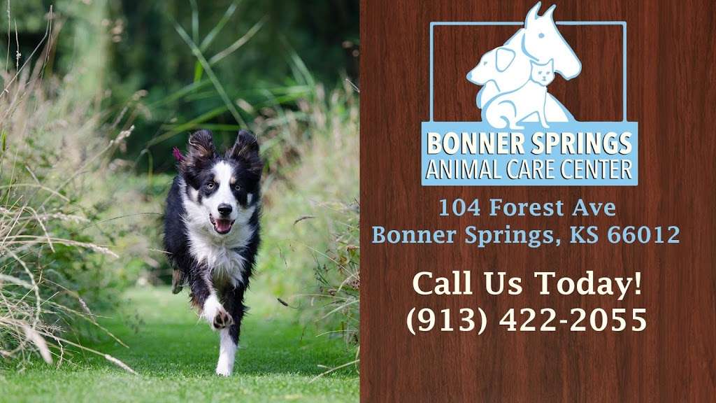 Bonner Springs Animal Care Center | 104 Forest Ave, Bonner Springs, KS 66012, USA | Phone: (913) 422-2055