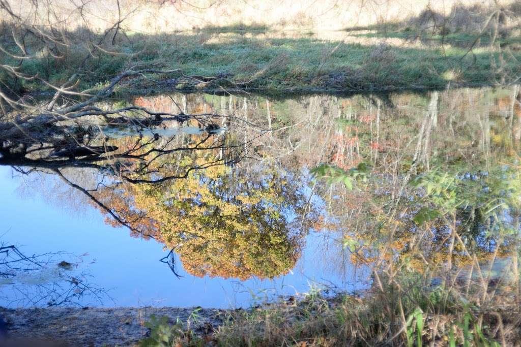 Assabet River Nature Trail | 124-126 Chapin Rd, Hudson, MA 01749, USA
