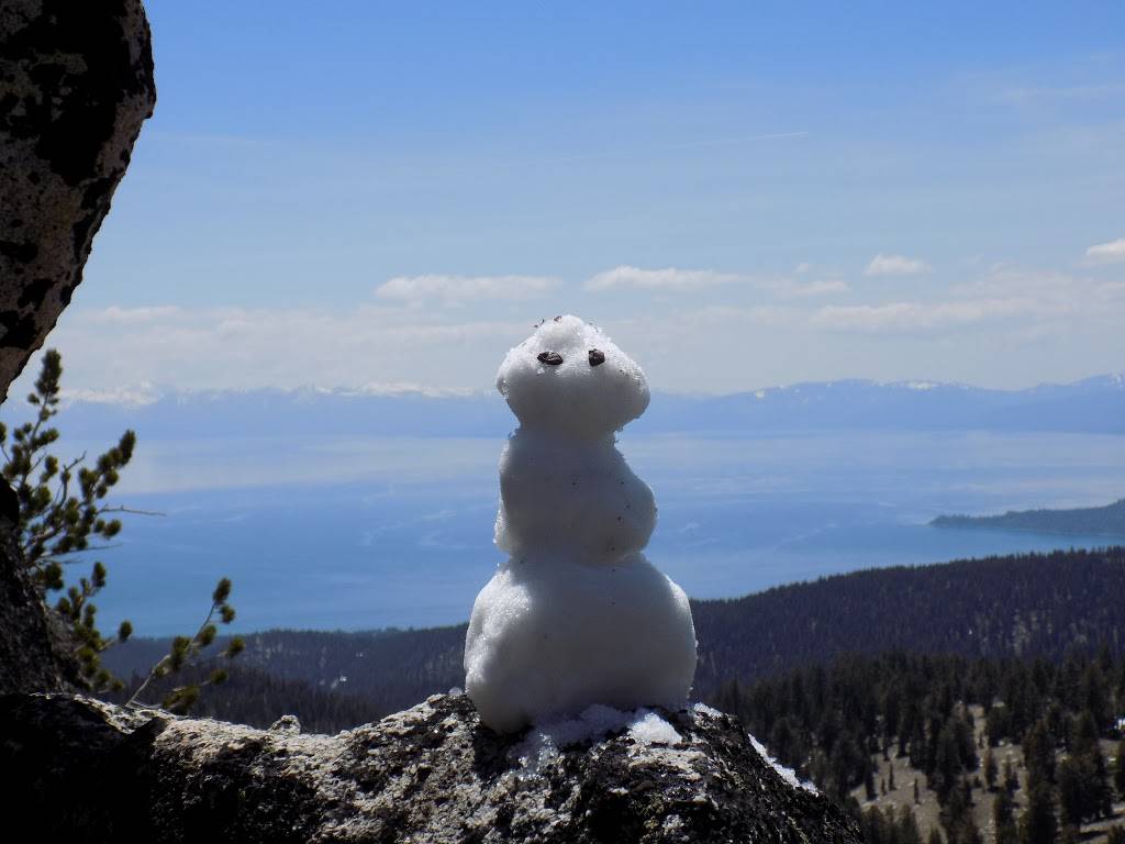 Tahoe Rim Trail | Tahoe Rim Trail, Incline Village, NV 89451, USA | Phone: (775) 298-4485