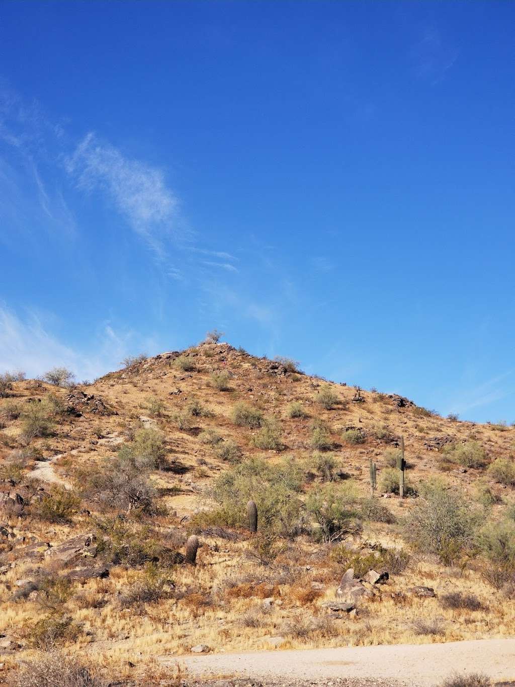 Corona de Loma Trail | Warpaint North, Phoenix, AZ 85042, USA