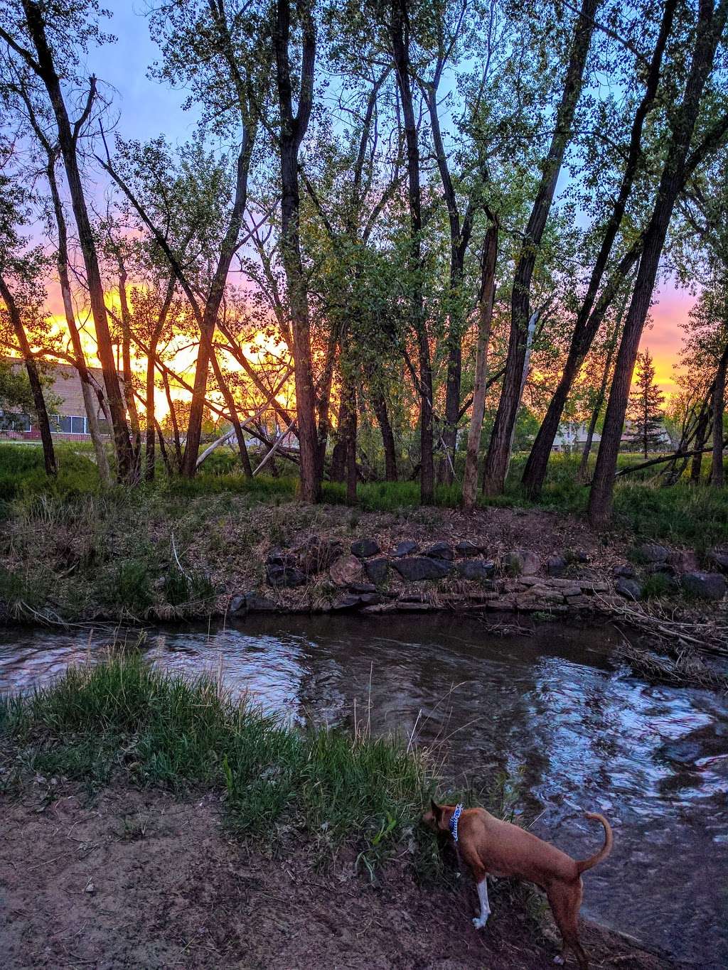 Left Hand Creek Park | 1800 Creekside Dr, Longmont, CO 80504, USA | Phone: (303) 651-8992