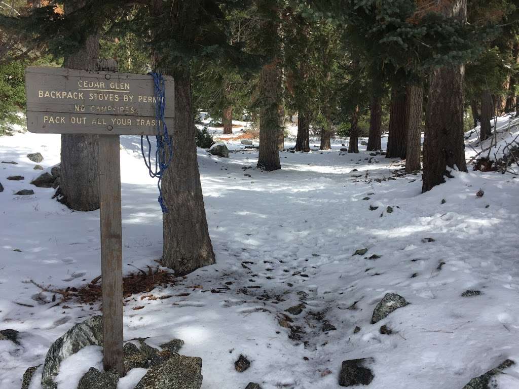 Cedar Glen | Mt Baldy, CA 91759, USA