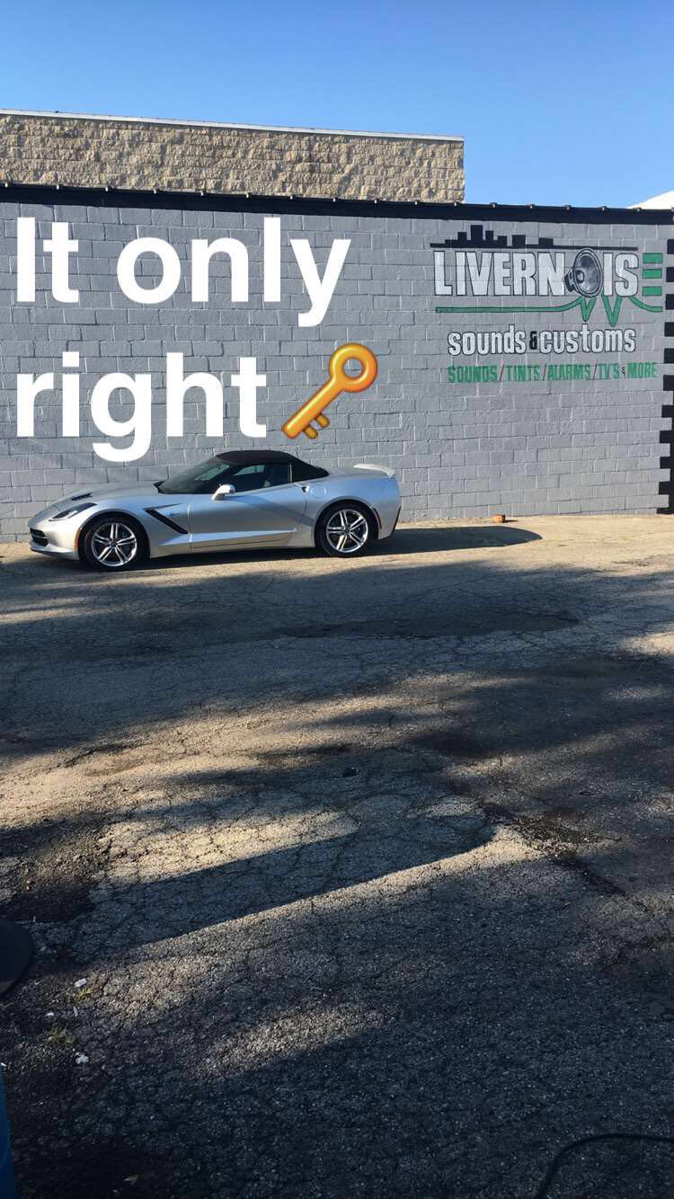 Livernois sounds and customs | 12503 Livernois, Detroit, MI 48204 | Phone: (313) 681-9029