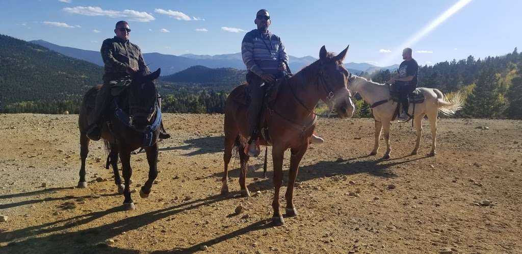 A & A Historical Horseback Riding | 188 Alps Hill Rd, Central City, CO 80427, USA | Phone: (303) 567-4808