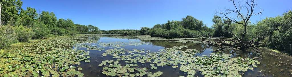 Mallard Lake | 6401-6499 Nature Center Dr, Franklin, WI 53132, USA