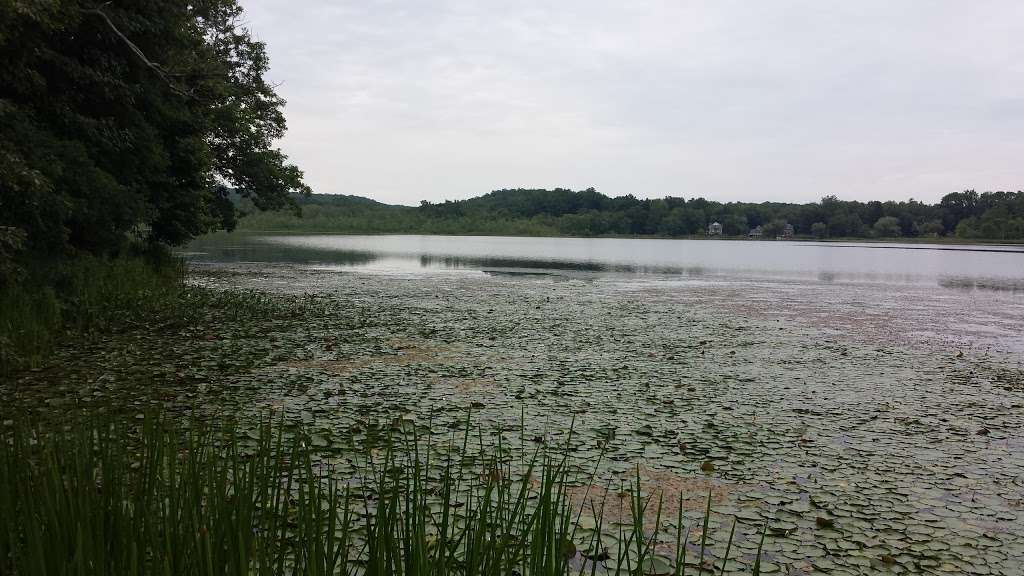 Little Swartswood Lake | Little Lake, Newton, NJ 07860, USA