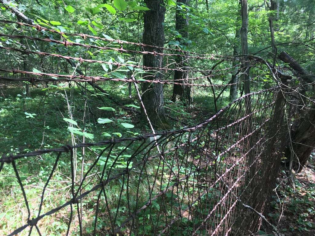 Callahan State Park - Central Parking | Pipeline Trail, Framingham, MA 01701, USA