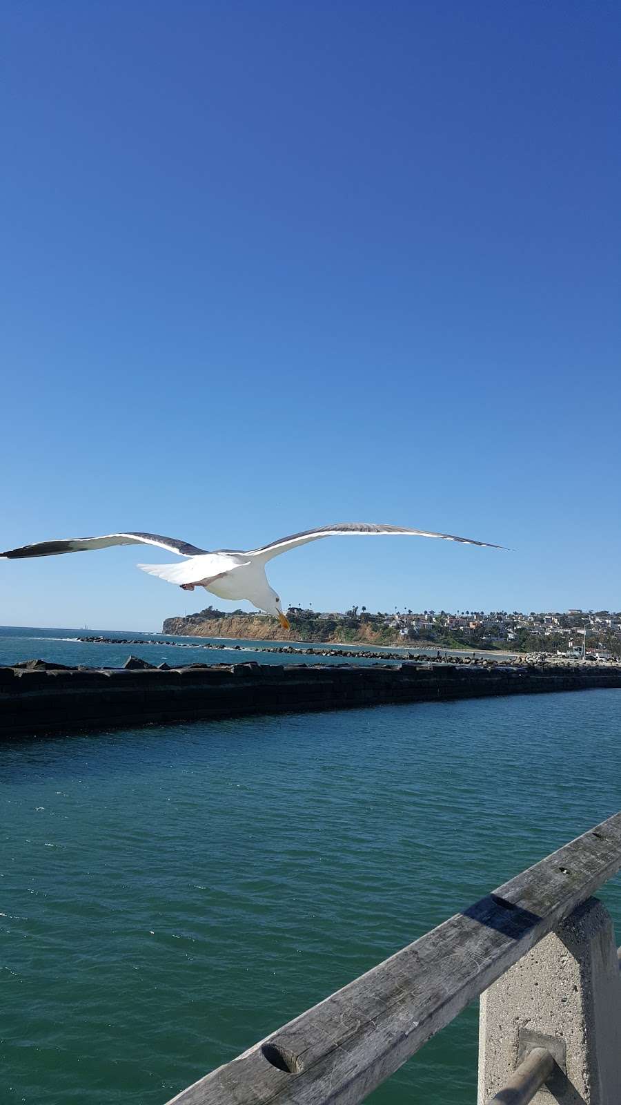 Los Angeles County Lifeguards, Cabrillo Beach | 3800 Stephen M White Dr, San Pedro, CA 90731, USA