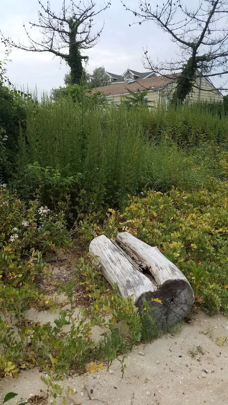 Soundside Beach Park | Soundside Beach Park, Bayville, NY 11709, USA