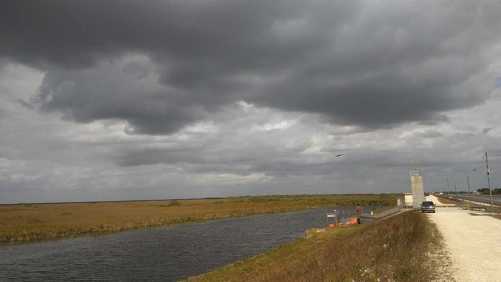 L-67 / L-67 C | Everglades, FL, USA